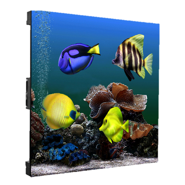 man hinh led trong nha